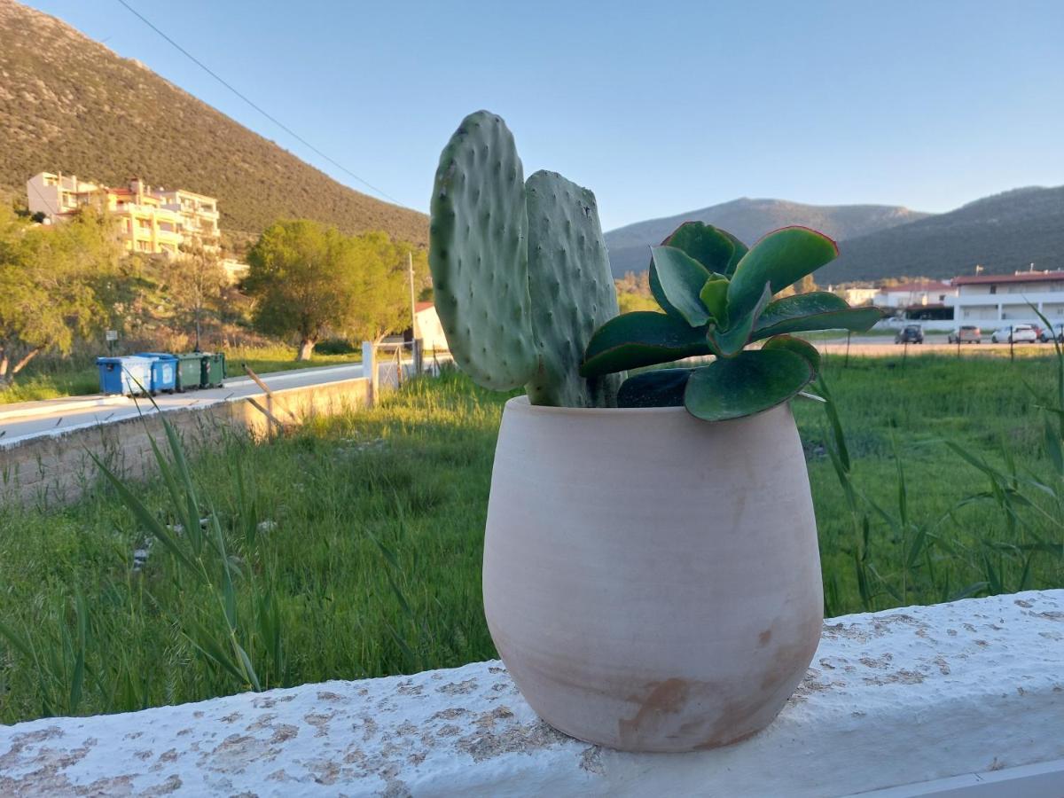 Daire Vitamin Sea 4, άνετο διαμέρισμα. *
