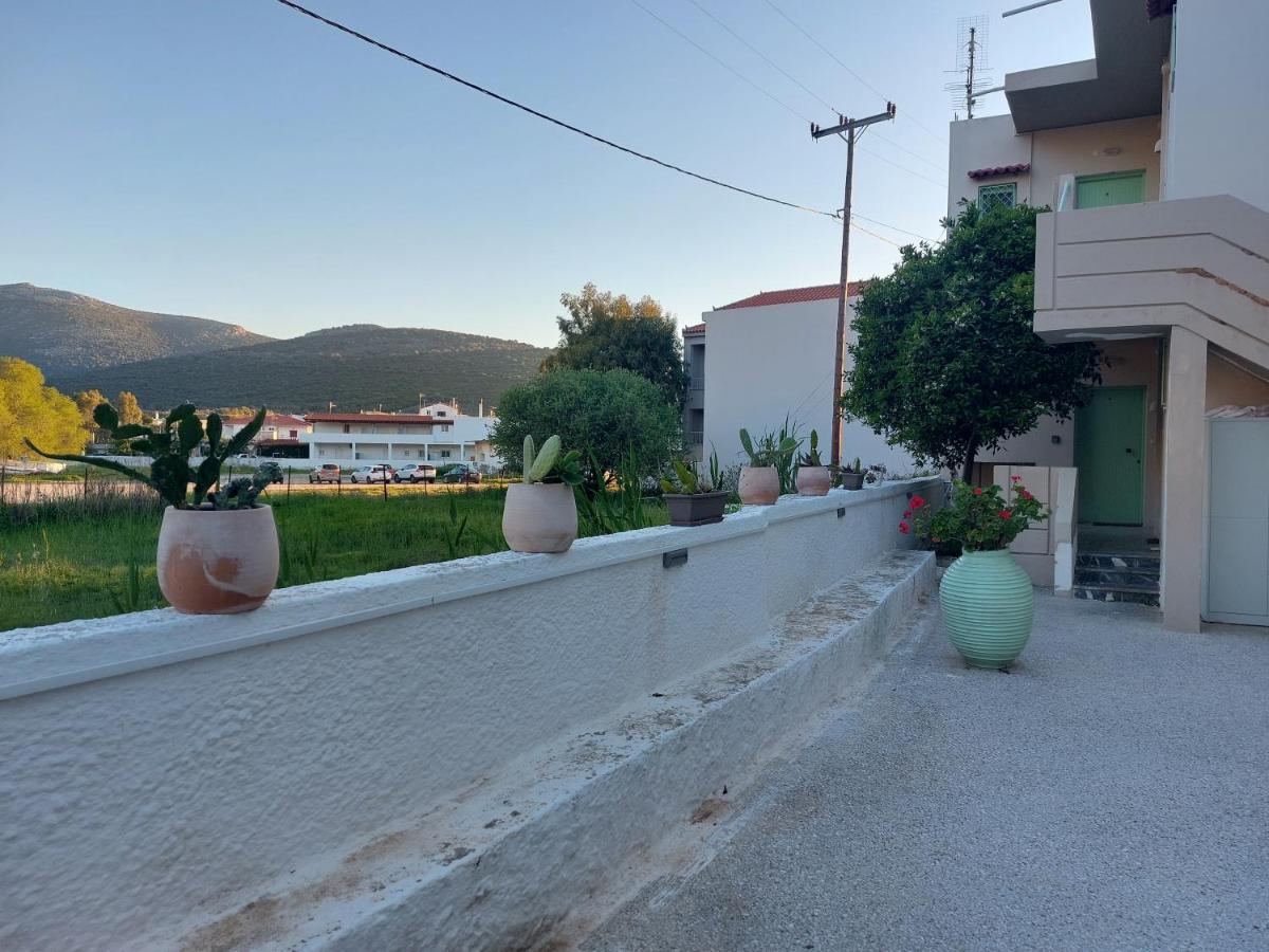 Vitamin Sea 4, άνετο διαμέρισμα. Daire *